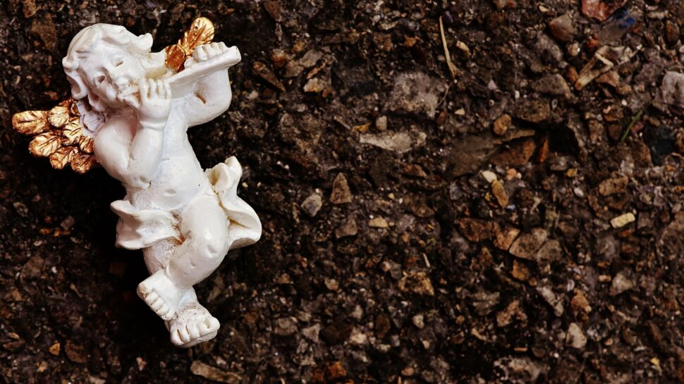 Compost de corps humain : une alternative écologique à l'inhumation et à la crémation