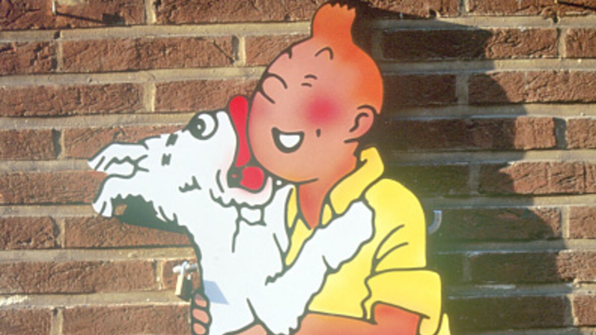 Tintin fête ses 90 ans ! 5 choses à savoir sur le héros de Hergé : Femme  Actuelle Le MAG