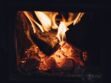 6 façons de réutiliser la cendre de sa cheminée