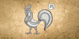 aimer coq
