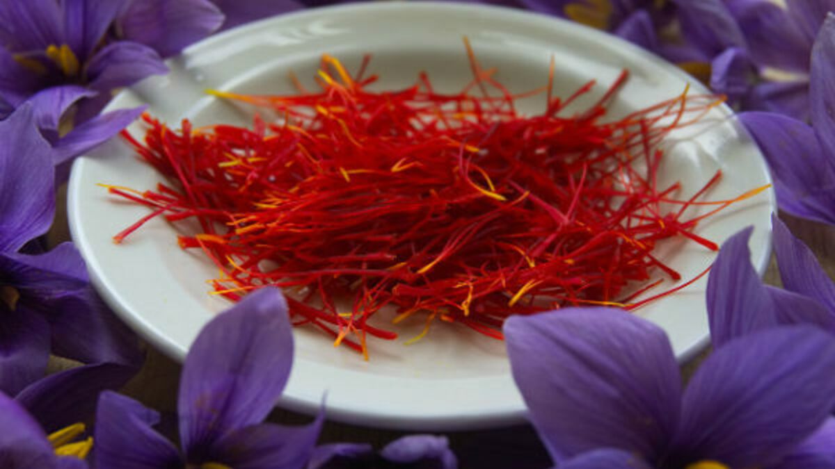 Quels sont les bienfaits du safran pour la santé? – L'île aux épices