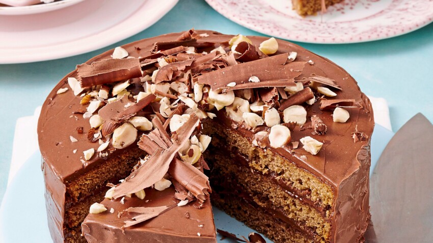 Gâteau à la pâte à tartiner : découvrez les recettes de cuisine de