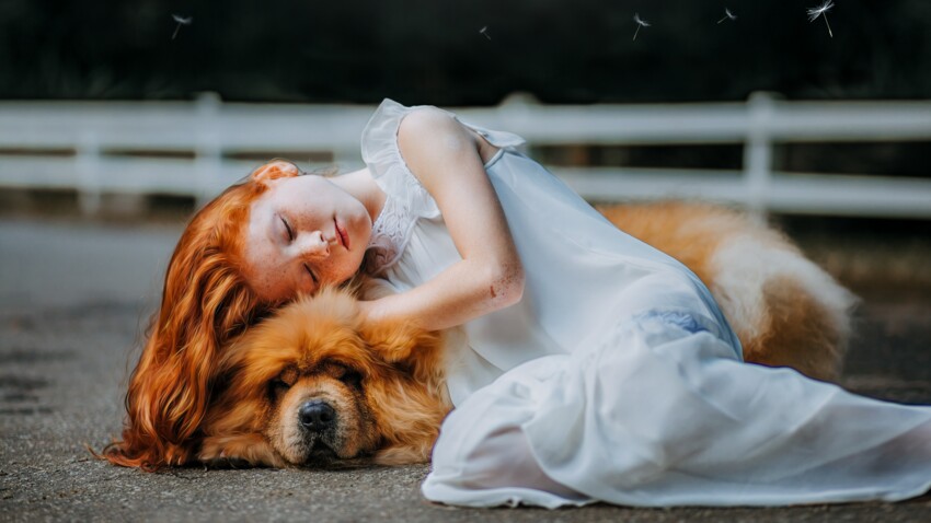 3 façons de rendre hommage à son animal décédé : Femme Actuelle Le MAG