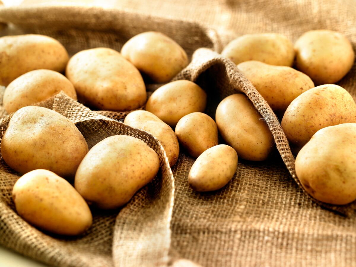 Comment conserver des pommes de terre épluchées ? : Femme Actuelle Le MAG