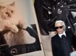 Mort de Karl Lagerfeld : le créateur a-t-il le droit de léguer son héritage à son chat, Choupette ?