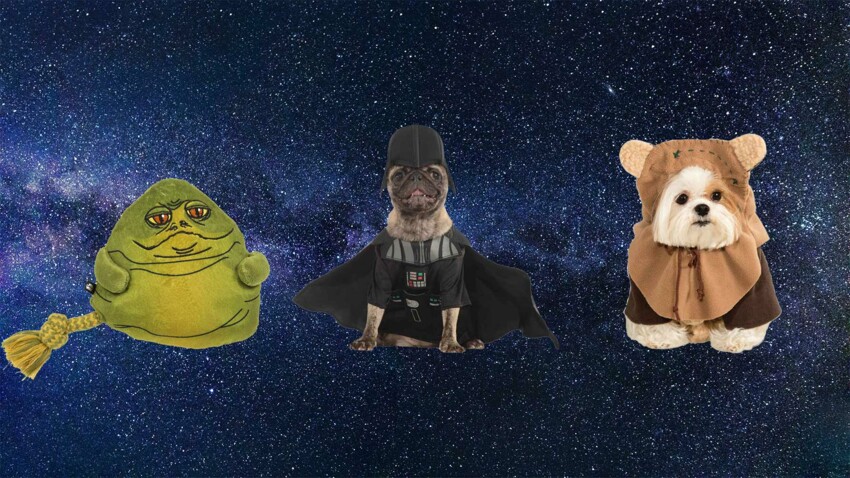 Animalis Lance Une Collection Animaux Sur Le Theme De Star Wars Femme Actuelle Le Mag