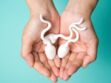 Don de spermatozoïdes : comment ça se déroule et qui peut donner ?