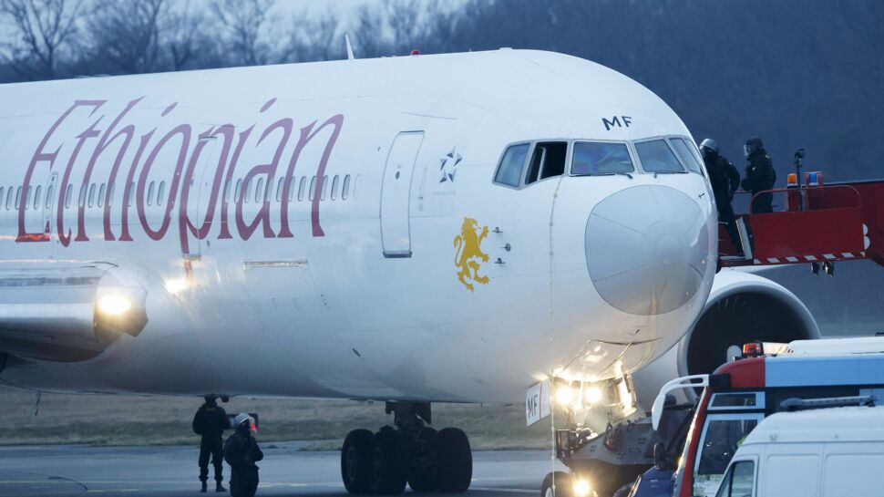 Crash d'un boeing 737 d'Ethiopian Airlines : 7 Français parmi les victimes