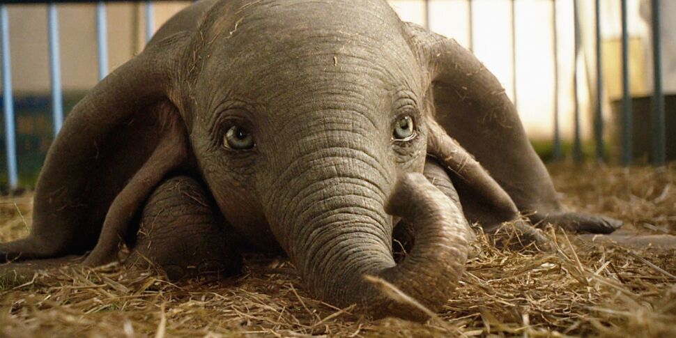 Dumbo : 5 bonnes raisons de voir le nouveau Tim Burton