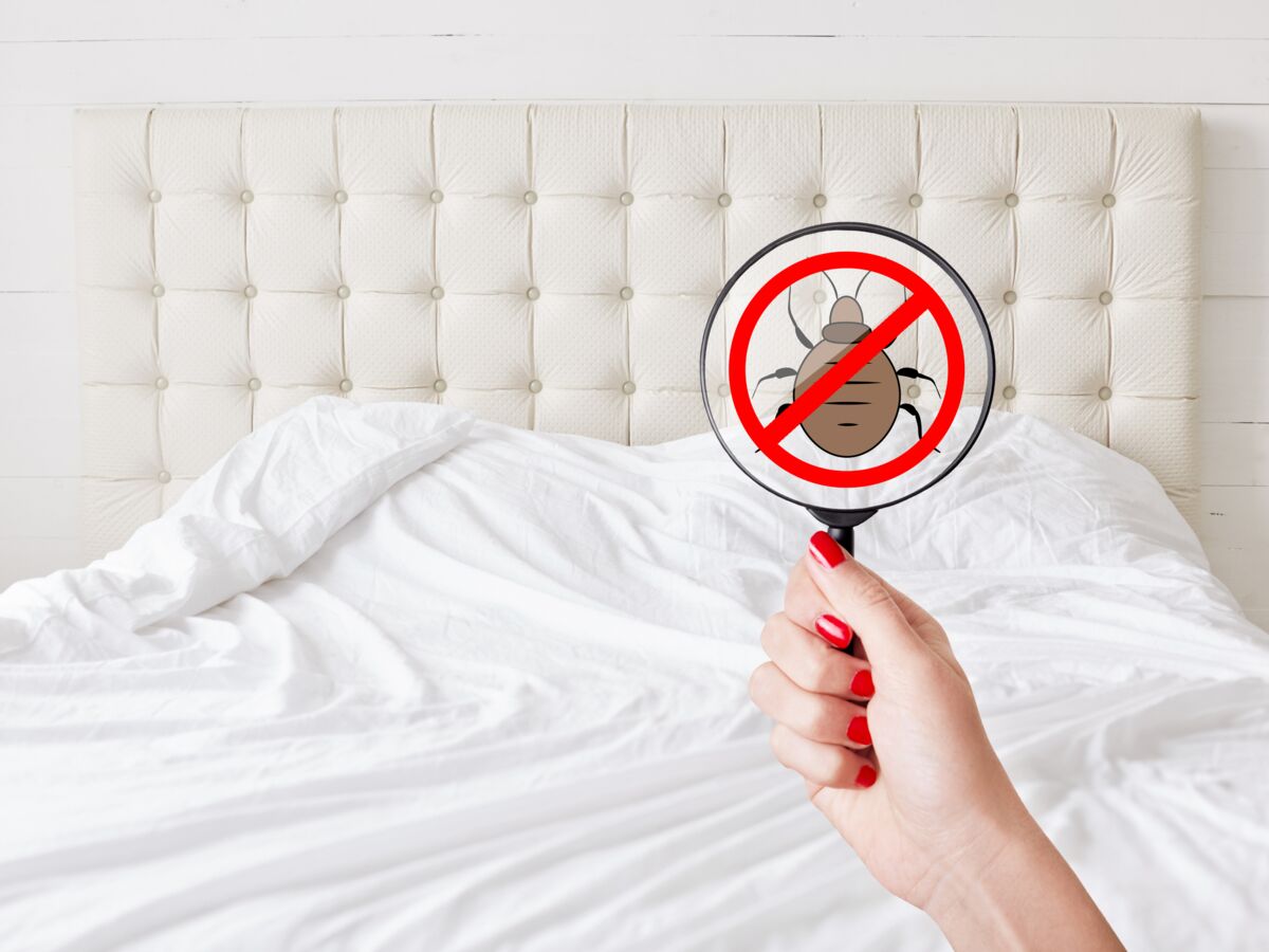 Punaises de lit : comment s'en débarrasser en préservant au mieux sa santé ?