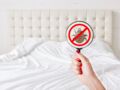 Comment se débarrasser des punaises de lit : les conseils de l’expert pour les éradiquer