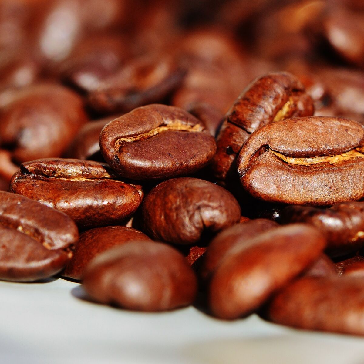 Divination avec les grains de café : comment lire les Buzios