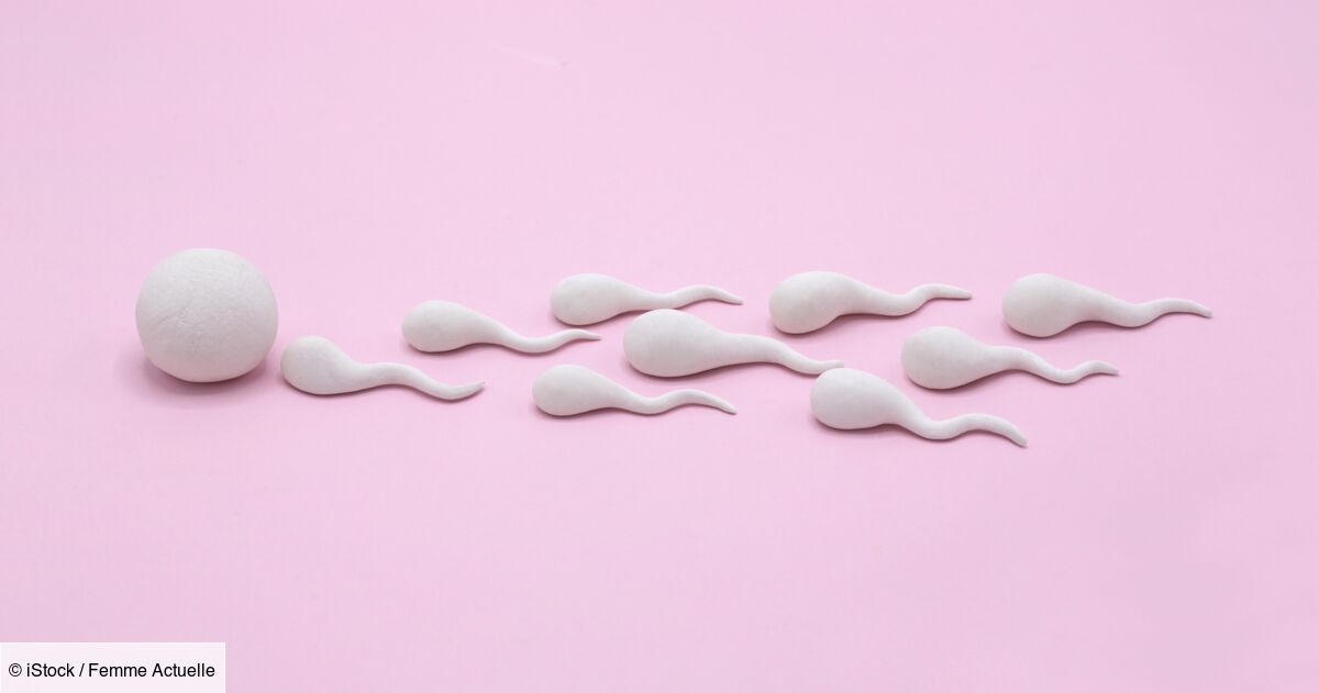 5 idées reçues sur le don de spermatozoïdes