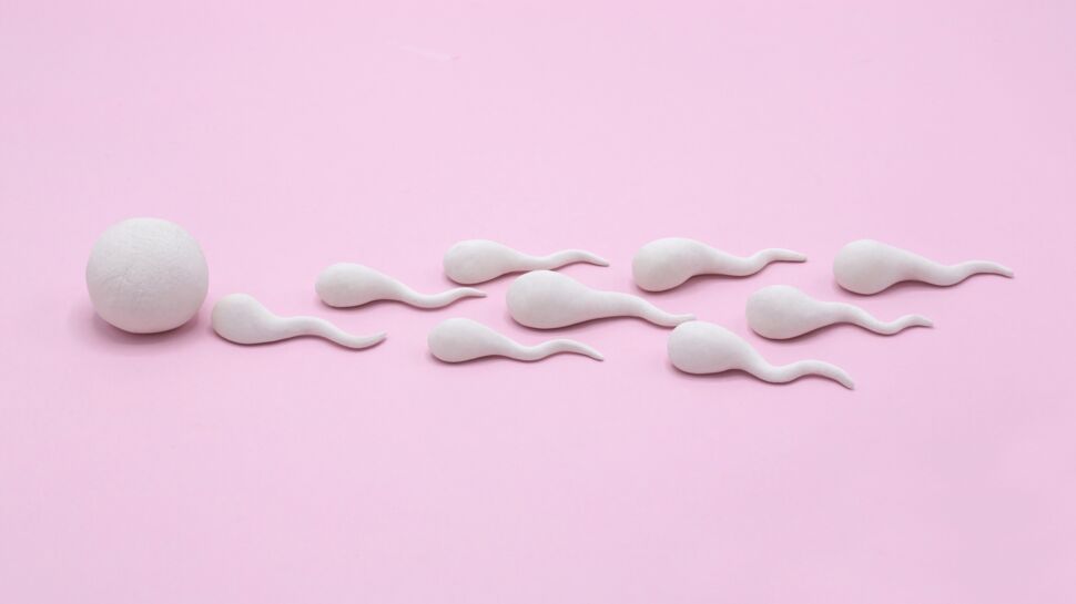 5 idées reçues sur le don de spermatozoïdes