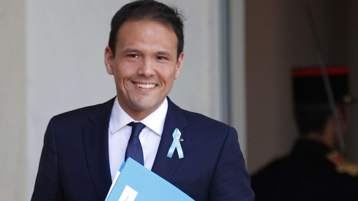 [Image: cedric-o-5-choses-a-savoir-sur-le-nouvea...rique.jpeg]