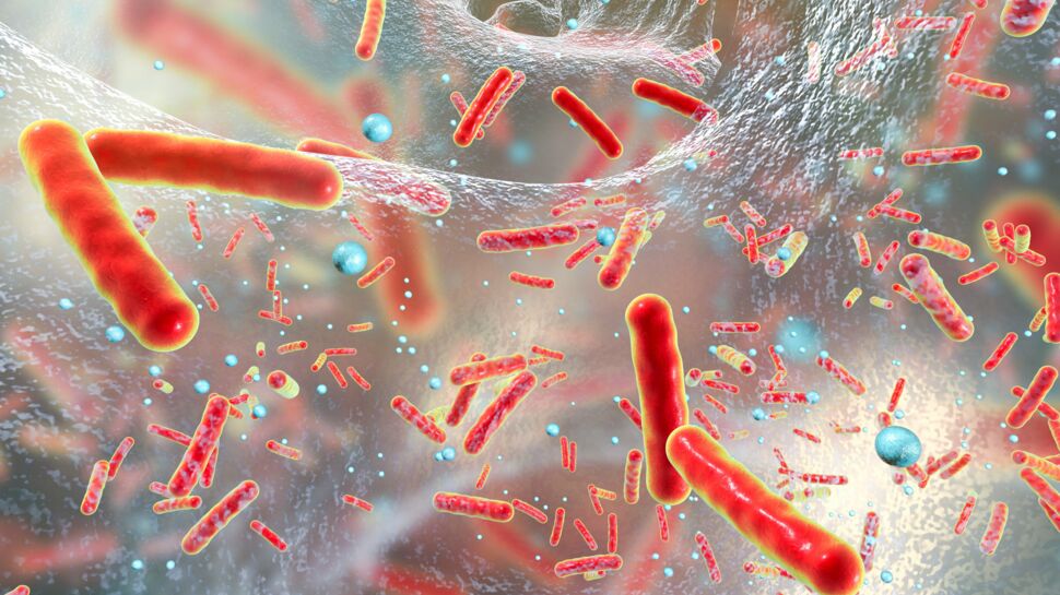 Un lien entre microbiote et cancer colorectal ?