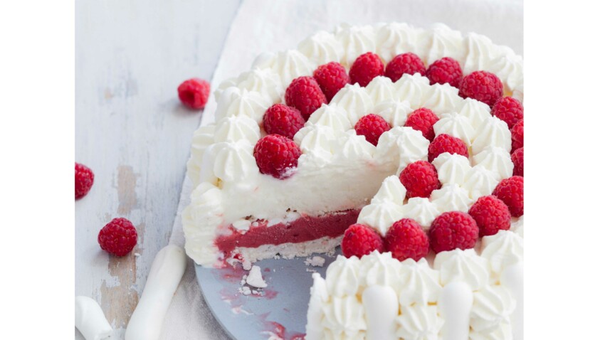 Vacherin Vanille Framboise Decouvrez Les Recettes De Cuisine De Femme Actuelle Le Mag