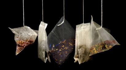 Sachet de thé : pourquoi il ne faut plus les jeter et comment les utiliser  ? : Femme Actuelle Le MAG