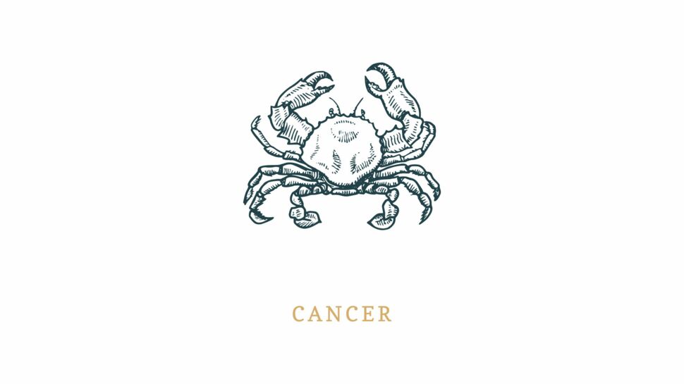 Signe astrologique du Cancer : vos compatibilités avec les quatre éléments