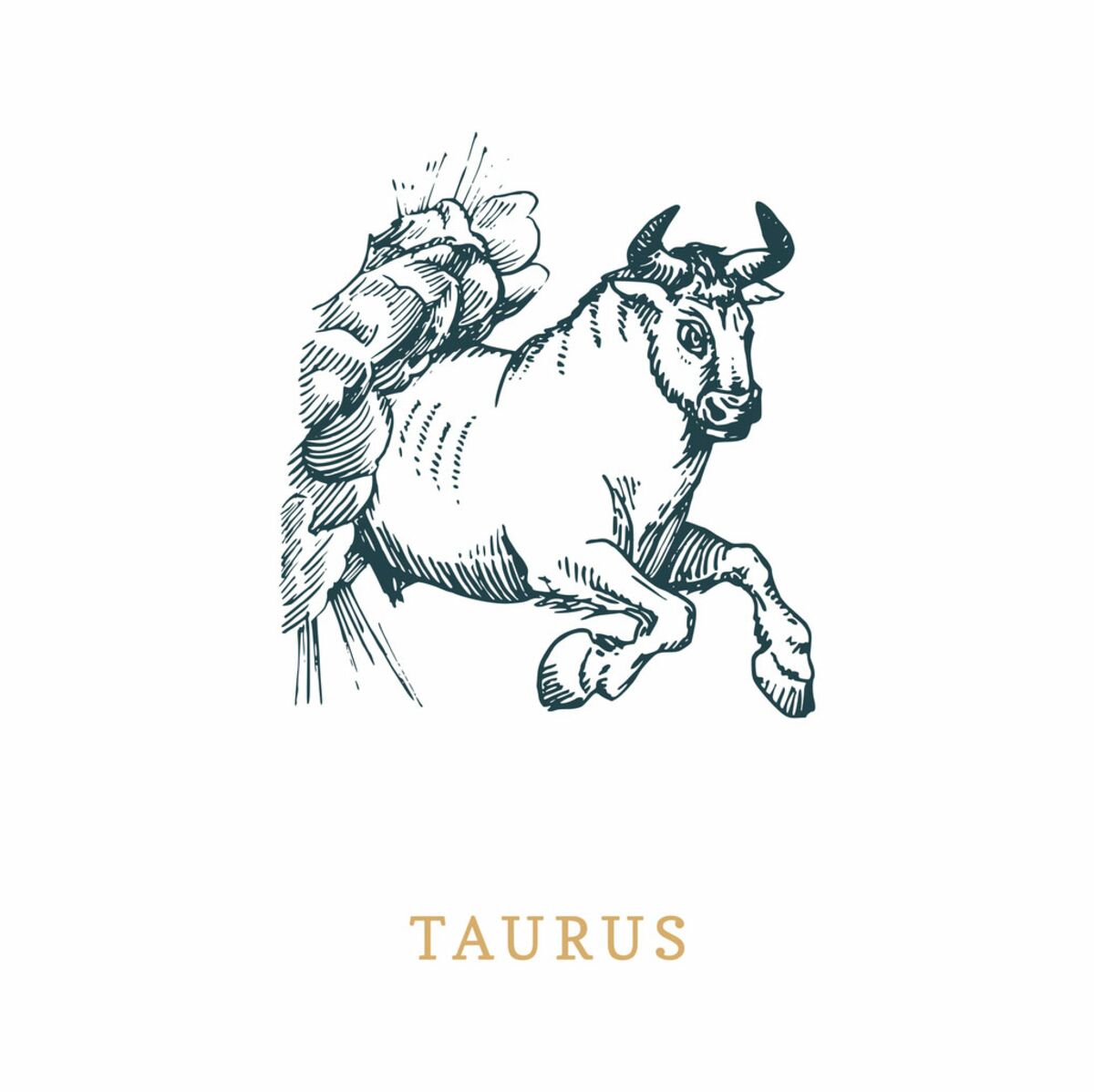 Signe astrologique du Taureau : vos compatibilités avec les quatre éléments  : Femme Actuelle Le MAG