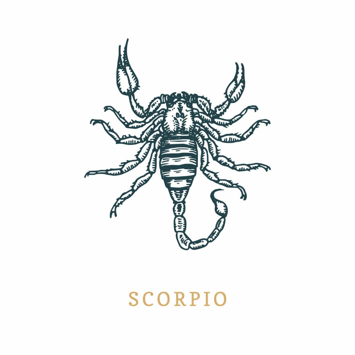 Signe astrologique du Scorpion : vos compatibilités avec les quatre éléments  : Femme Actuelle Le MAG
