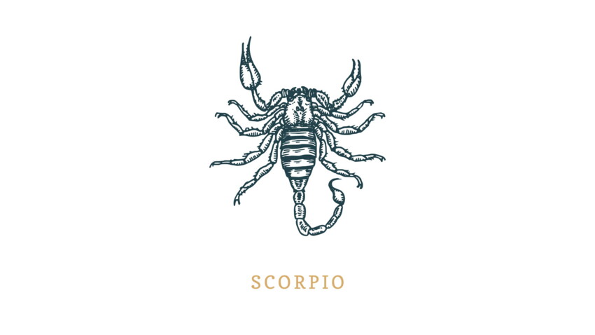 Signe Astrologique Du Scorpion Vos Compatibilites Avec Les Quatre Elements Femme Actuelle Le Mag