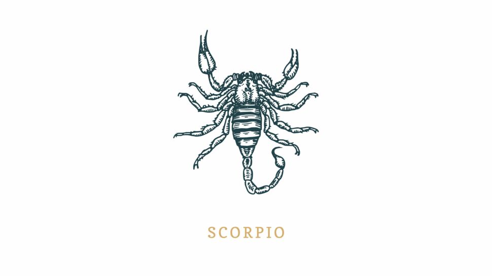 Signe astrologique du Scorpion : vos compatibilités avec les quatre éléments