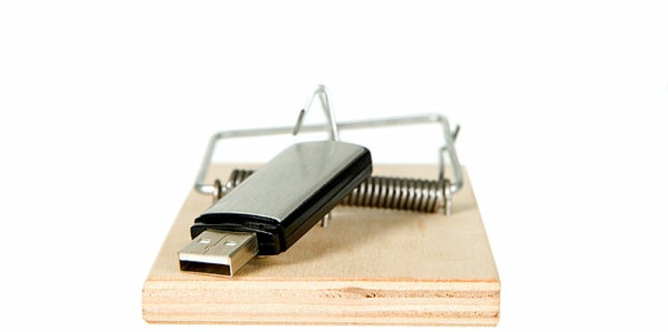 Clé Usb Chien Qui Fait L Amour