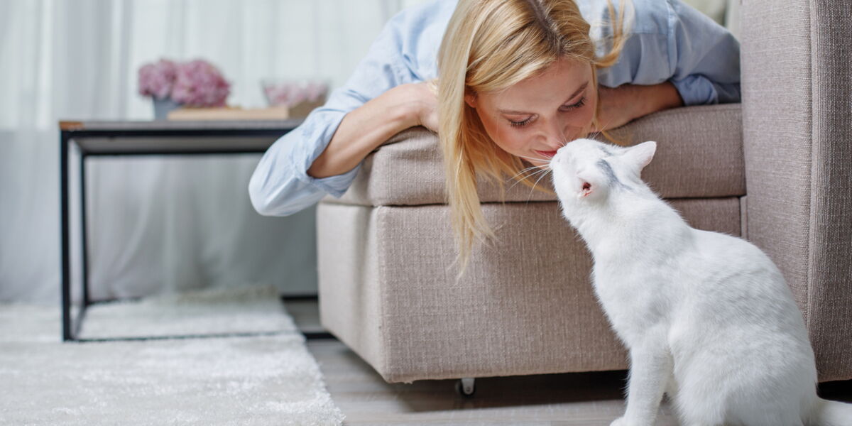 Toxoplasmose Et Grossesse Quels Sont Les Risques Femme Actuelle Le Mag