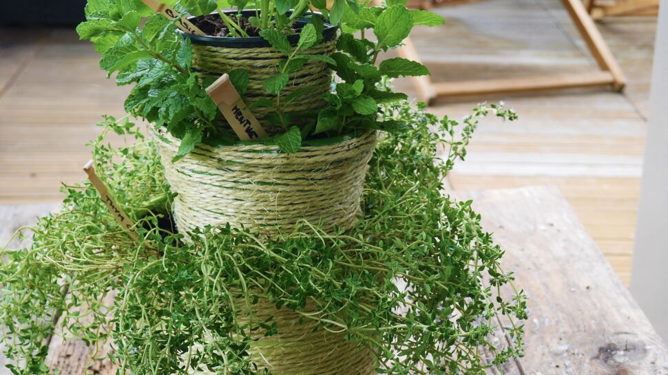Tuto : réalisez une jardinière originale pour vos plantes aromatiques