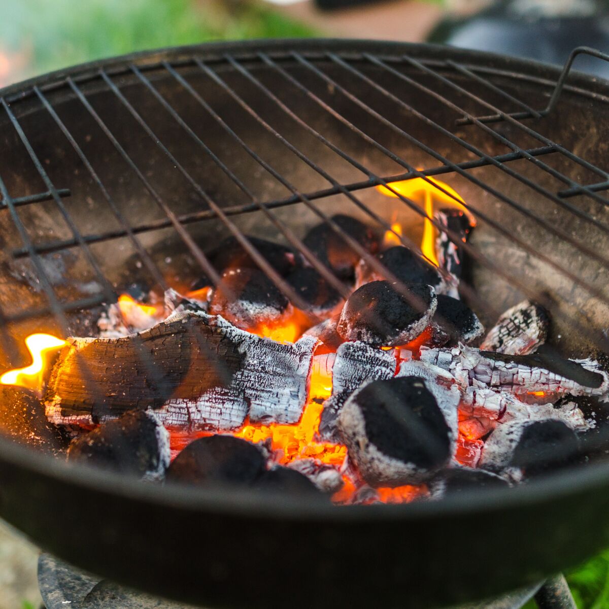 Comment nettoyer une grille de barbecue facilement ? - Gamm vert