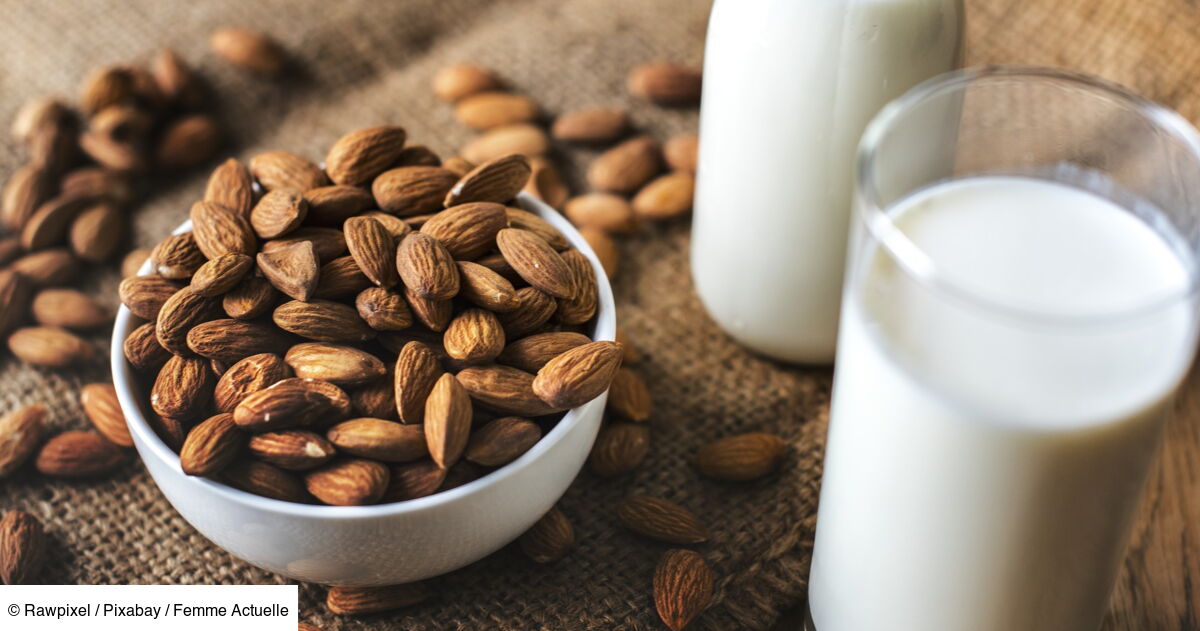 Comment faire son lait d’amande maison ? Nos techniques avec ou sans