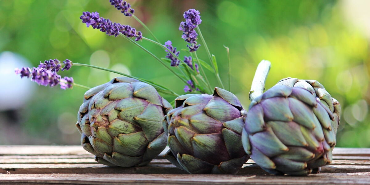 Comment Reussir La Cuisson De Ses Artichauts Au Thermomix Femme Actuelle Le Mag