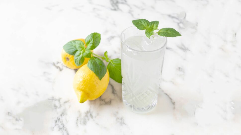 Gin citron et basilic