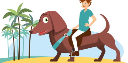 Quelles règles pour voyager avec mon animal ?