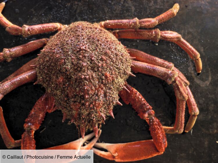 Comment réussir la cuisson de l’araignée de mer ? : Femme Actuelle Le MAG