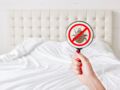 Punaises de lit : 5 précautions à prendre pour s'en protéger