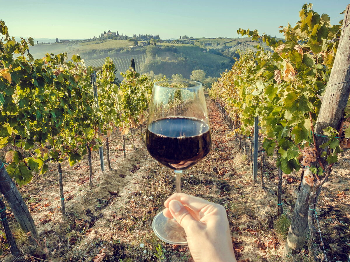 rencontres oenotourisme