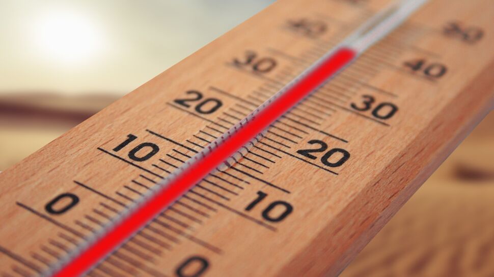 Canicule : à quelles températures faut-il s’attendre cette semaine ?
