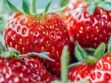 Fruits rouges : comment utiliser vos framboises, fraises, mûres…?