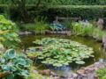 Bassin de jardin : 10 conseils pour l'aménager