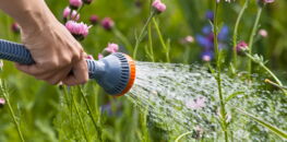 Les 8 erreurs à éviter en arrosant les plantes du jardin