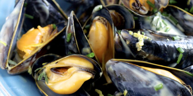 Moules de bouchot en crème légère et acidulée facile et rapide