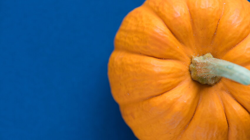 Conservation De La Courge Peut On Congeler Le Potiron Femme Actuelle Le Mag Conservation De La Courge Peut On Congeler Le Potiron Femme Actuelle Le Mag