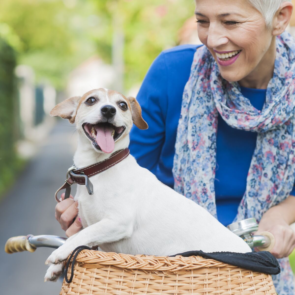 La Spa Simplifie L Adoption D Animaux Pour Les Seniors Femme La Spa Simplifie L Adoption D Animaux Pour Les Seniors Femme