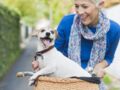 La SPA simplifie l'adoption d'animaux pour les seniors
