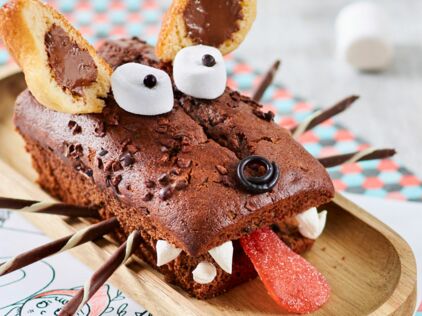 Gateau Loup Foque Decouvrez Les Recettes De Cuisine De Femme Actuelle Le Mag