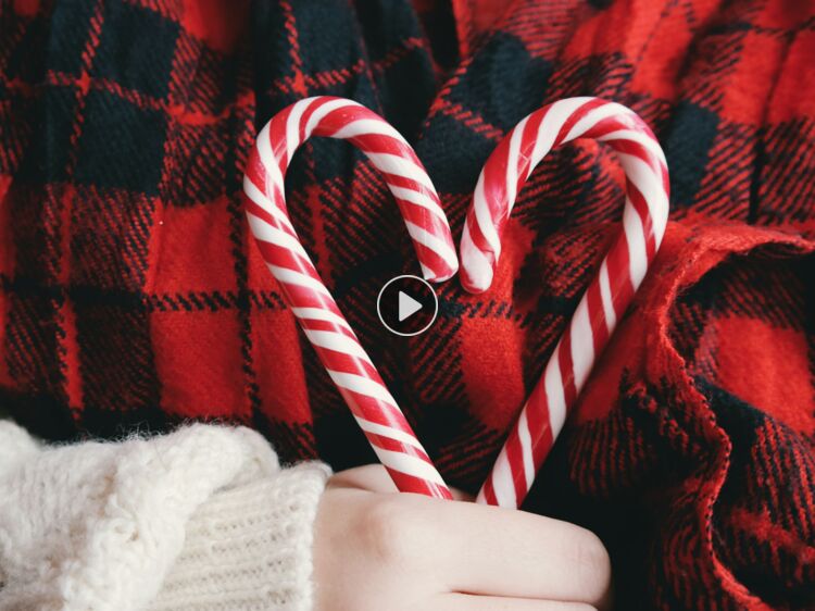 Sucre à Noël tout savoir sur cette douceur iconique Femme