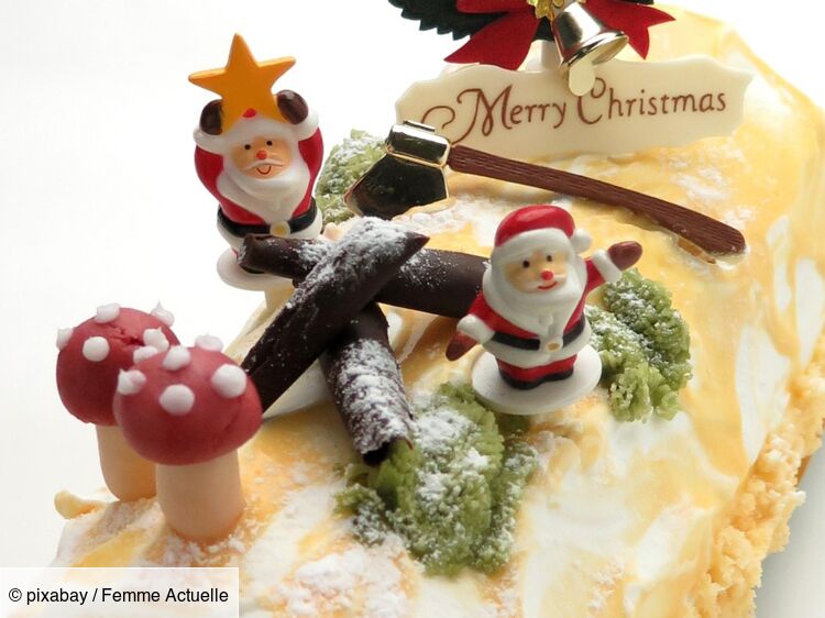 Décoration bûche de Noël comestible : nos idées gourmandes : Femme Actuelle  Le MAG