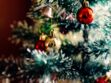 Repas de Noël antillais : recettes et coutumes pour des fêtes originales